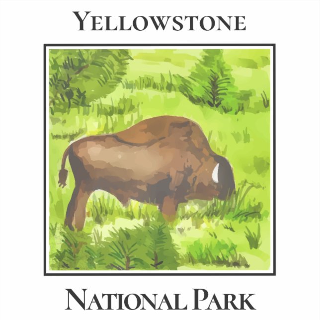 Yellowstone's Gentle Giant (Front)