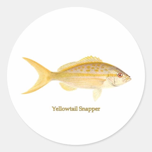Yellowtail Snapper Logo Classic Round Sticker (Front)