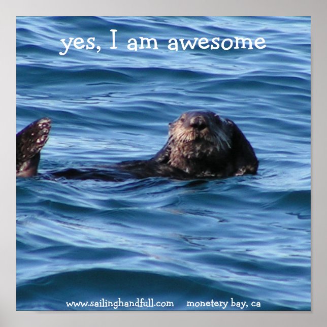 yes i am awesome sea otter poster (Front)