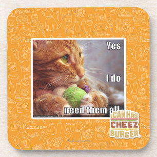 Yes I do need them all Coaster