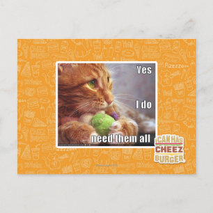 Yes I do need them all Postcard