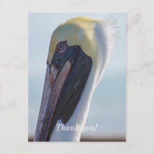 Yes I'm Gorgeous Postcard