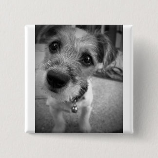 Yes Master, I'm All Ears 15 Cm Square Badge