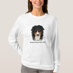 Yes, this is a Bernese Mountain Dog! T-Shirt
