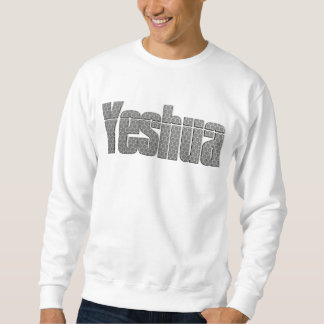 Yeshua Plat Grille2 3D Sweatshirt