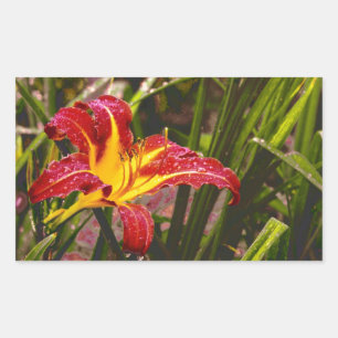 Yesterday Lily After The Rain Rectangular Sticker