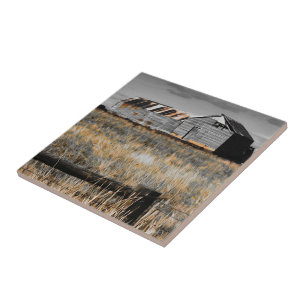 Yesterday's Shelter Tile