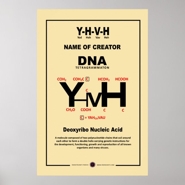 YHVH Chemical Compound Poster (Front)