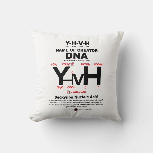 YHVH-DNA Chemical Bond Cushion (Front)