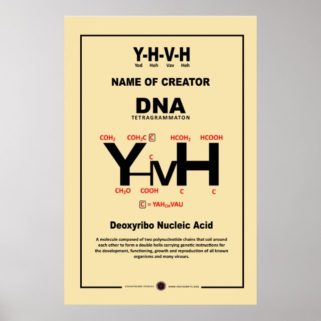YHVH-DNA POSTER (Front)