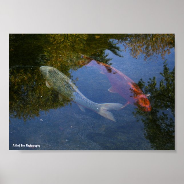 Yin and Yang in Silver and Amber Poster (Front)