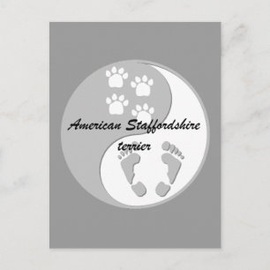 yin yang american staffordshire terrier postcard