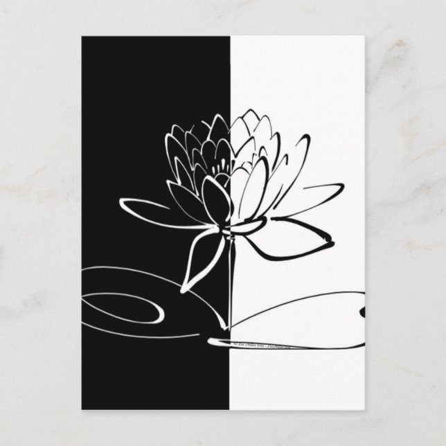 Yin Yang Black White Lotus Blossom Postcard (Front)