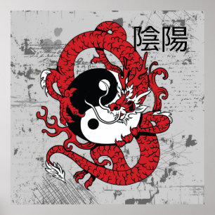Yin yang Chinese symbol and dragon Poster