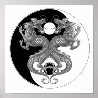 Yin Yang Dragon Poster