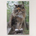 Yipper | Cat Photography | Cherie's Art(c)2020