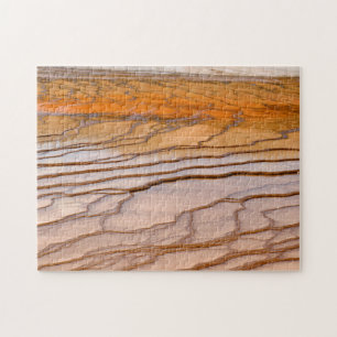 YNP Hot Springs Bacterial Flats Puzzle