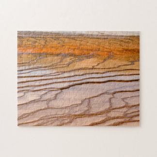 YNP Hot Springs Bacterial Flats Puzzle