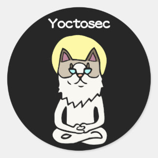 Yoctosec Enlightenment Cat Classic Round Sticker
