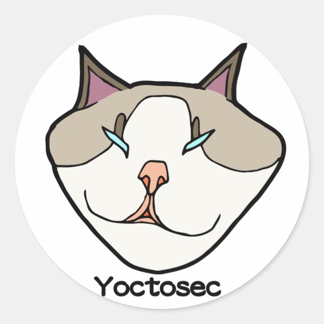 Yoctosec Enlightenment Cat Classic Round Sticker (Front)