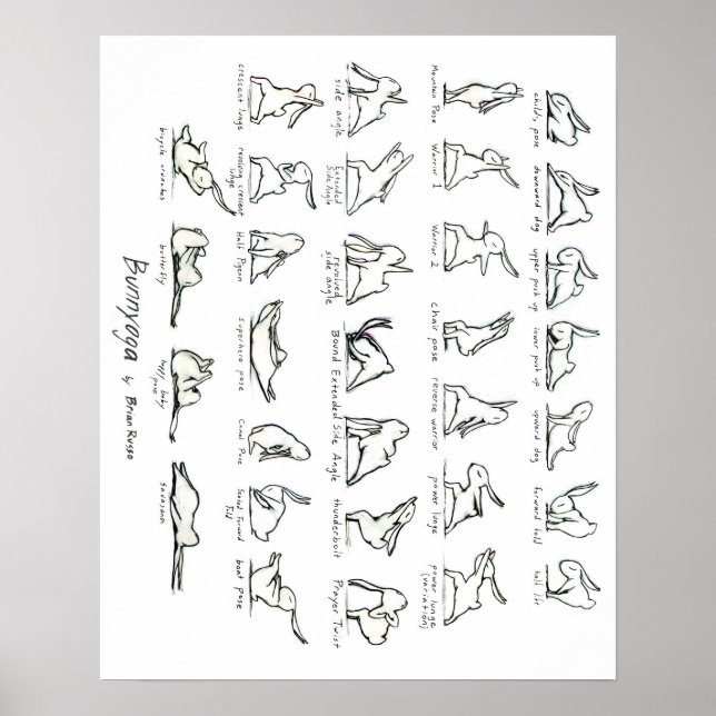 Yoga Bunny Poster (Front)
