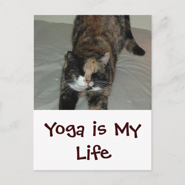 Yoga Cat Postcard (Front)