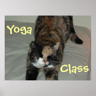 Yoga Cat Poster