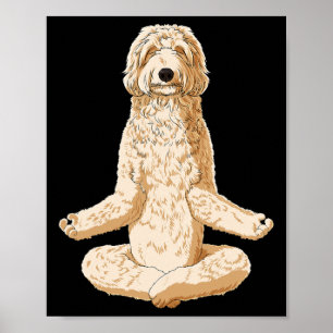 Yoga Dog Labradoodle Poster