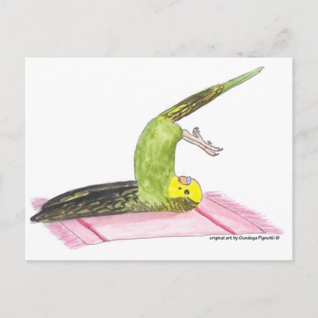 Yoga Parakeet Plough pose Postcard (Front)