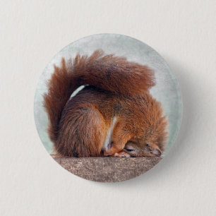 Yoga Squirrel Badge