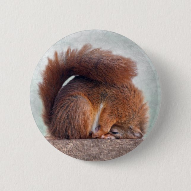 Yoga Squirrel Badge (Front)
