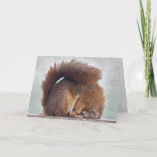 Yoga Squirrel Card