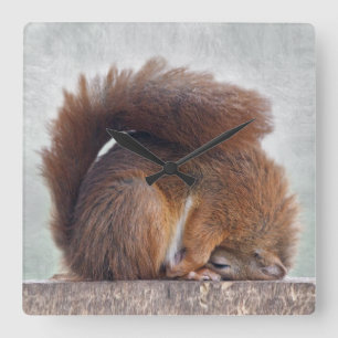 Yoga Squirrel Clock