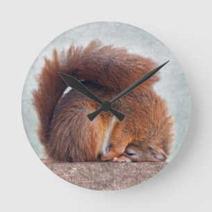 Yoga Squirrel Clock