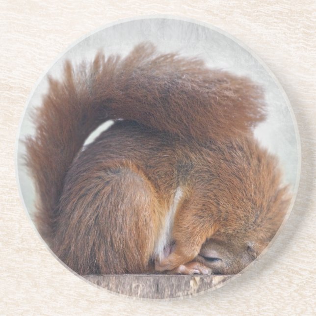 Yoga Squirrel Coaster (Front)