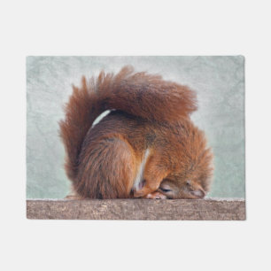 Yoga Squirrel Door Mat