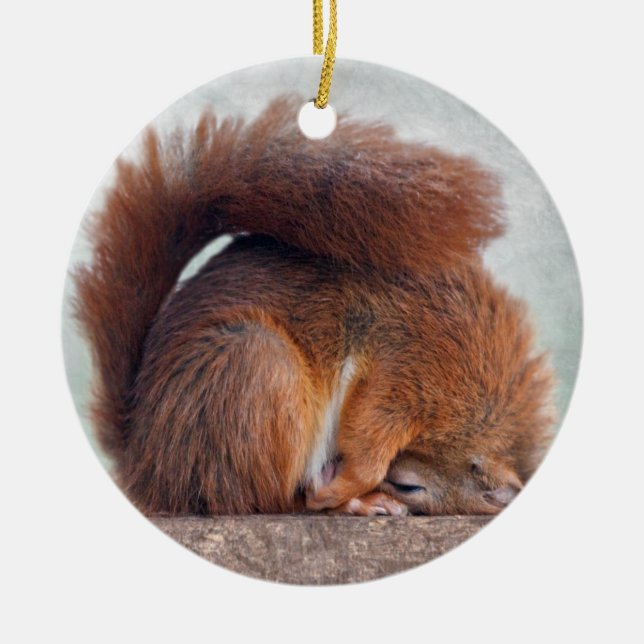 Yoga Squirrel Ornament (Front)