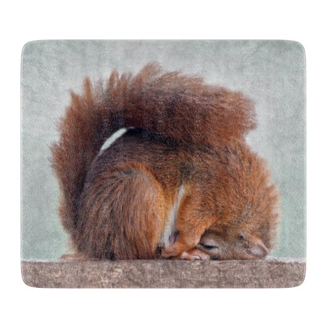 Yoga Squirrel Rectangular Glass Cutting Board (Front)