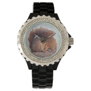 Yoga Squirrel Watch