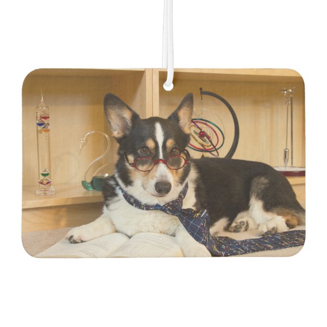 Yogi the Science Dog Car Air Freshener (Front)