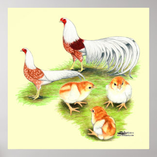 Yokohama Red Shoulder Family Poster