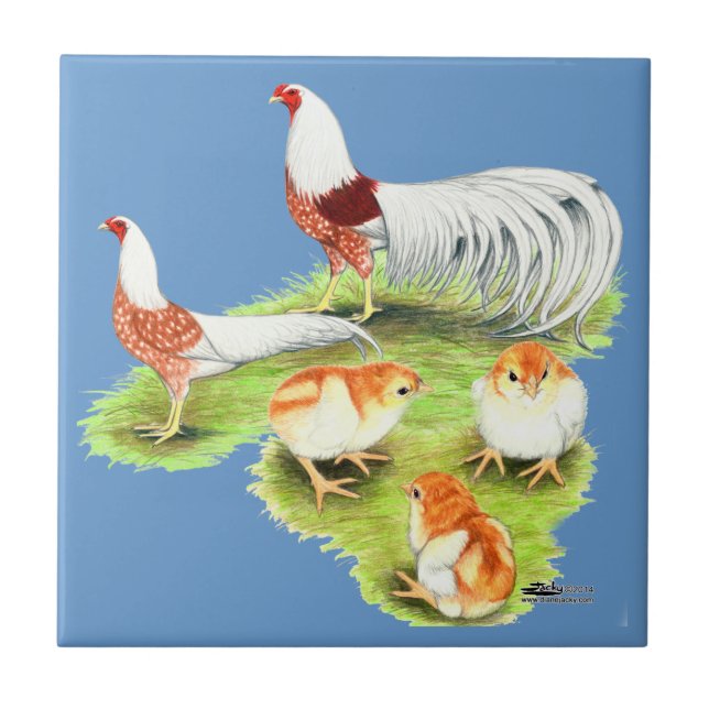 Yokohama Red Shoulder Family Tile (Front)