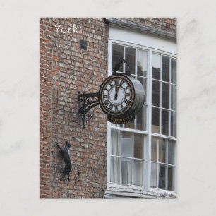York Cat Postcard