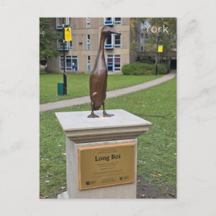 York Long Boi Postcard