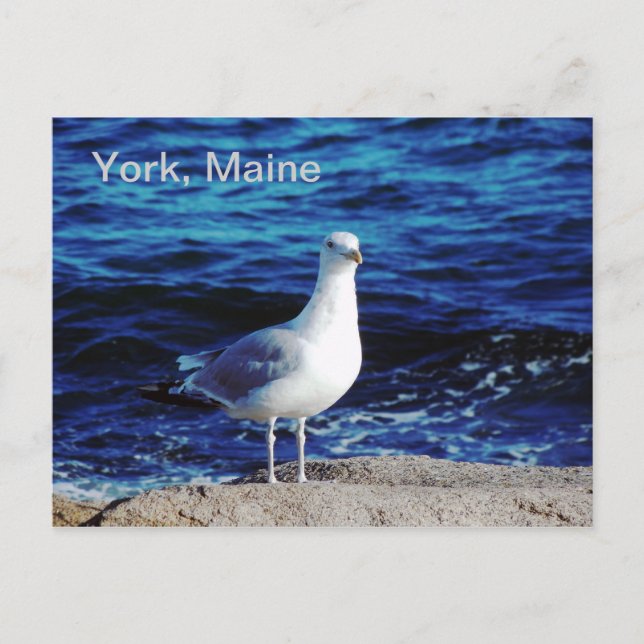 York, Maine Postcard (Front)