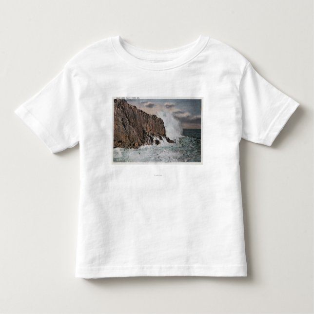 York, MaineView of Bald Head CliffYork, ME Toddler T-Shirt (Front)