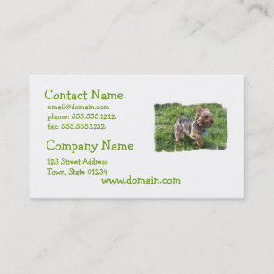 York Terrier Dog Business Card