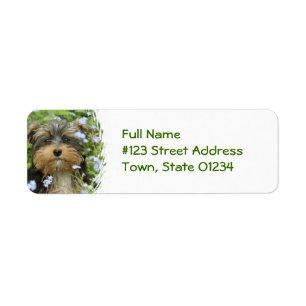 York Terrier Dog Return Address Label
