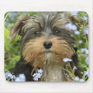 York Terrier Mouse Pad
