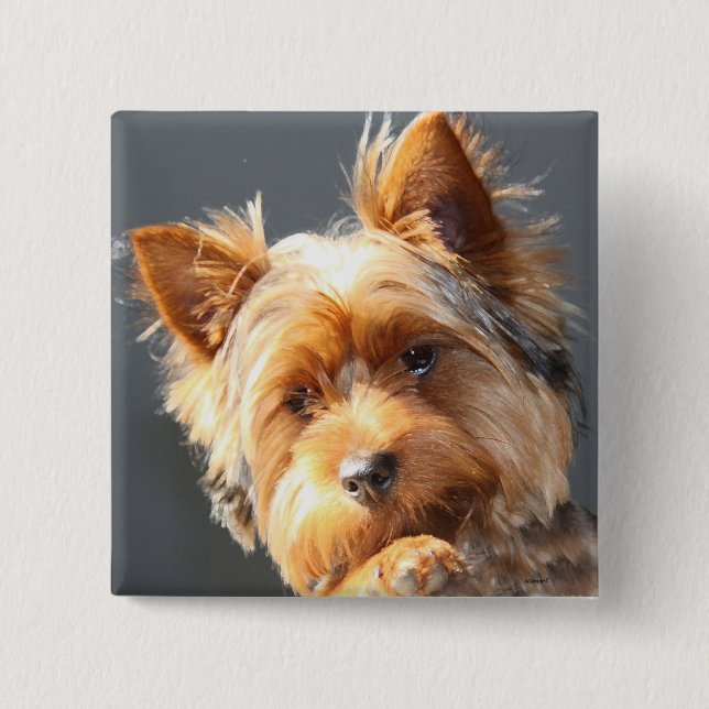 yorkie 15 cm square badge (Front)